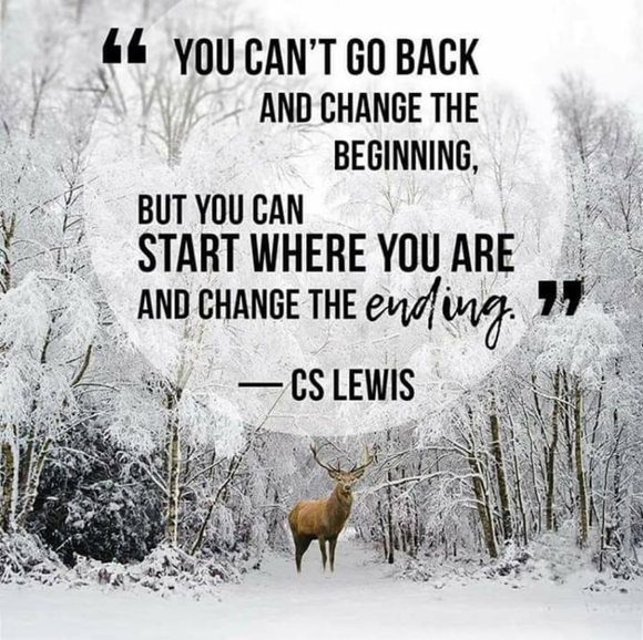 Meet your Posher, Debbie🔆Posh Ambassador🔆 - Picture 8 of 12